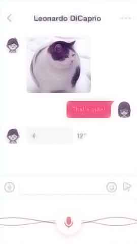 在线短信轰炸测试